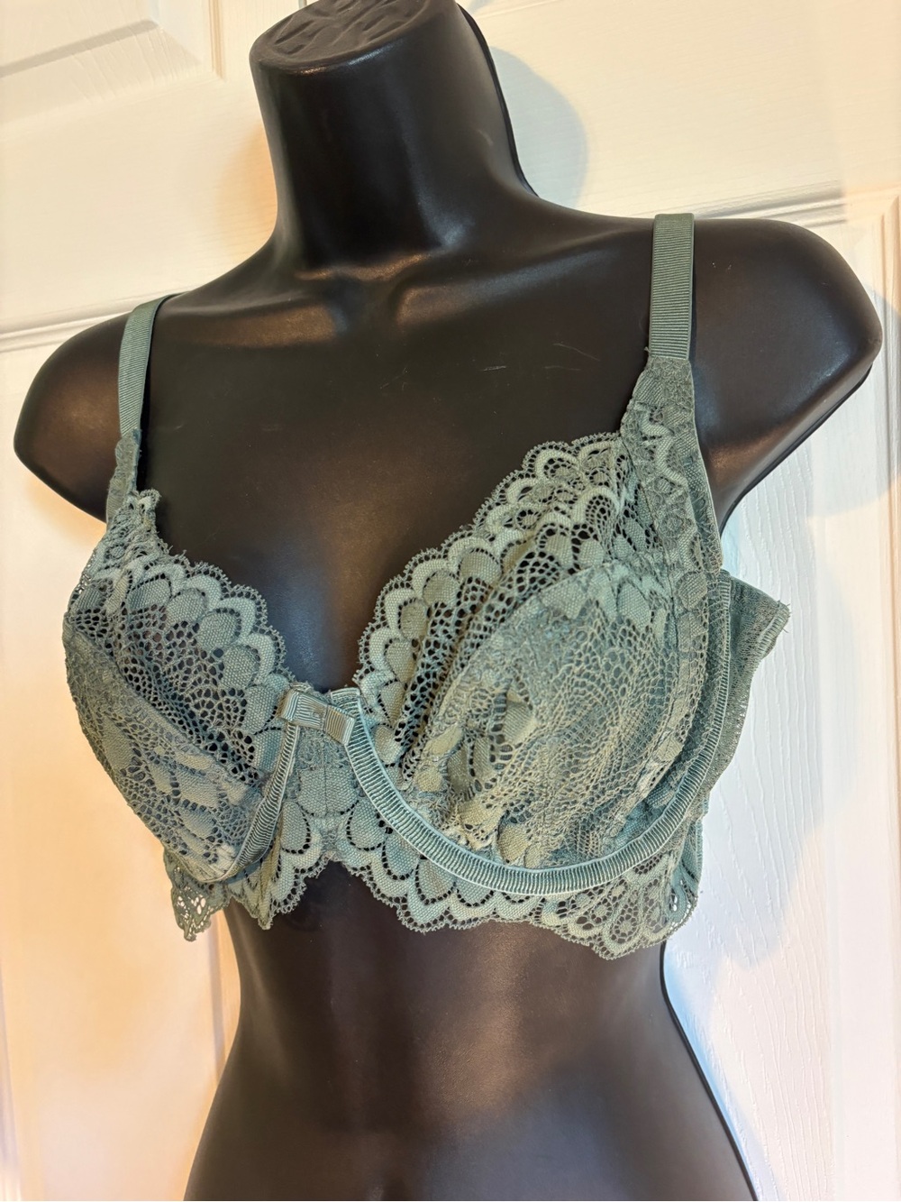 La Vie En Rose Lace Underwire Bra in Sage